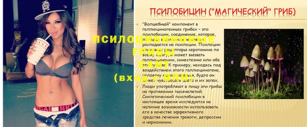 дурь Баксан