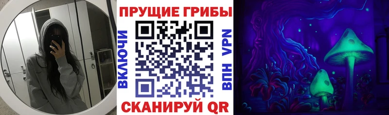 что такое наркотик  Кувандык  Галлюциногенные грибы Psilocybe 